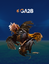GA28